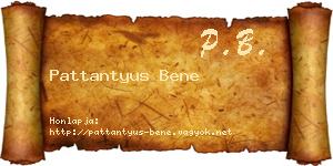 Pattantyus Bene névjegykártya